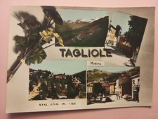 Tagliole pievepelago vedutine. usato  Carpi