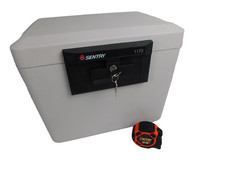 Sentry 1170 fire for sale  Burns
