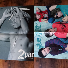 Killerpilze 2pac tupac gebraucht kaufen  Cottbus