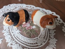 Quail guinea pig for sale  MAIDSTONE