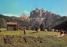 Cartolina dolomiti braies usato  Milano