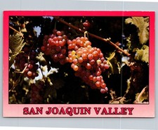 Vintage san joaquin for sale  Batavia