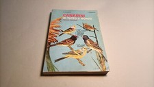 Baseggio quercellini canarini usato  Villarbasse