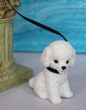 White poodle puppy for sale  Round Rock