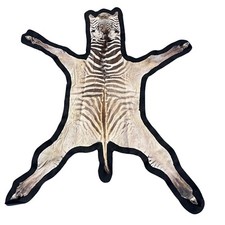Real zebra skin for sale  Champlain
