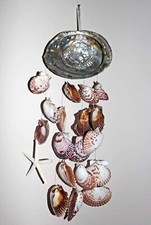 Abalone scallop shells for sale  Austin