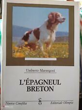 Umberto marangoni epagneul usato  Montecatini Terme