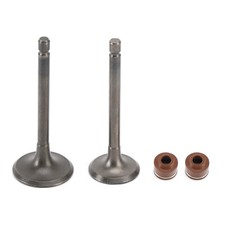 Inlet exhaust valves for sale  MANCHESTER