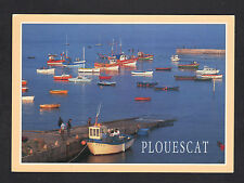 Plouescat animated fishing d'occasion  Expédié en Belgium