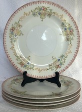 Vintage national china for sale  Waunakee