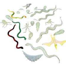 Glow dark snakes for sale  Franklin