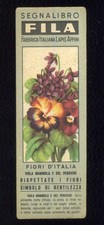 fiori viola usato fiori viola usato Vezza d'Alba
