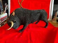 Vintage bull fighting for sale  ABERDEEN