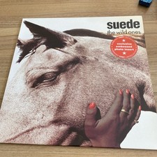 Suede wild ones for sale  MONMOUTH