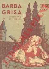 Dolomiti barba grisa usato  Italia