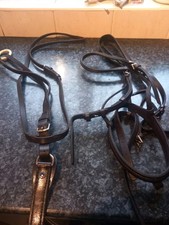 Havana stubben pony for sale  EVESHAM