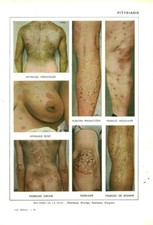 Human anatomy skin d'occasion  Expédié en Belgium