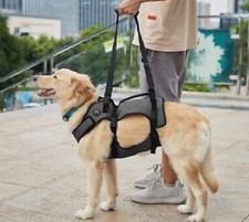 Coodeo dog lift for sale  Norfolk