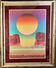 Framed kacey musgraves for sale  Salem