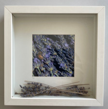 Shadow box art for sale  Portland