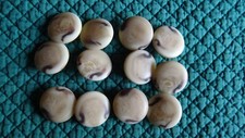 Cream beige brown for sale  BEDFORD