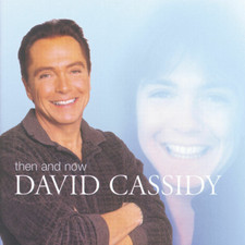 David cassidy cd for sale  UK