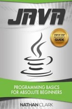 Java programming basics for sale  Aurora