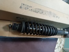 Ammortizzatore anteriore chate usato  Montescaglioso