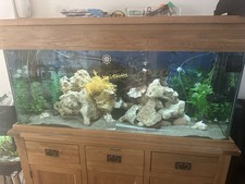 Aqua oak fish for sale  SLOUGH