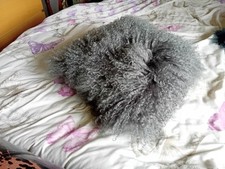 Mongolian wool cushion for sale  TILBURY