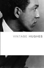 Vintage hughes paperback for sale  Montgomery