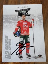 Augsburger panther 2025 gebraucht kaufen  München