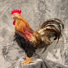Domestic chicken bantam for sale  Los Angeles