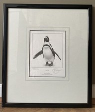 Gary hodges signed for sale  BEXHILL-ON-SEA
