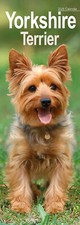 Calendario yorkshire terrier usato  Spedire a Italy