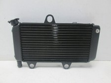 Wasserkühler kühler radiator gebraucht kaufen  Detmold