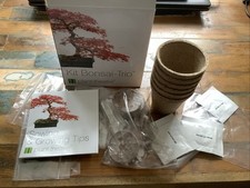 Bonsai growing kit for sale Bonsai growing kit for sale  EASTBOURNE