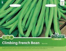 French bean seeds for sale  WORTHING