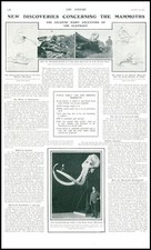 1903 prehistoric mammoths for sale  ASHFORD