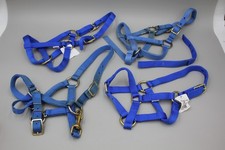 Grow foal halter for sale  Greensboro