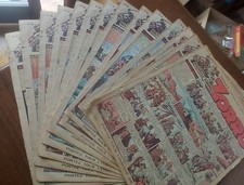 zorro infilzatore usato  Monza