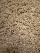 next floral rug for sale next floral rug for sale WOLVERHAMPTON