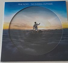 Pink floyd picture usato  Venezia