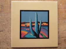 Southwest desert decorative for sale  Butler