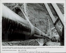 1976 press photo for sale  Memphis