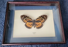 Two vintage framed for sale  NORWICH