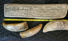 walrus tusk scrimshaw for sale walrus tusk scrimshaw for sale Stendal