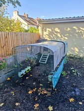 Omlet eglu cube for sale  BRISTOL