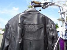 Harley davidson willie for sale  Mountain Lakes