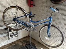 Vintage schwinn collegiate for sale  Rothschild